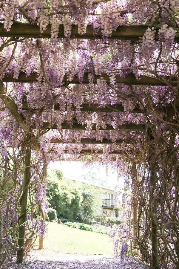 Flower Farm Tamborine Mountain Mount Tamborine Extérieur photo