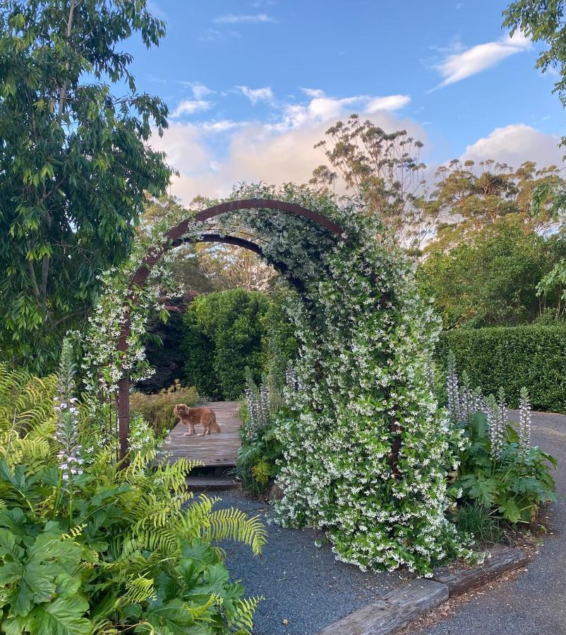 Flower Farm Tamborine Mountain Mount Tamborine Extérieur photo